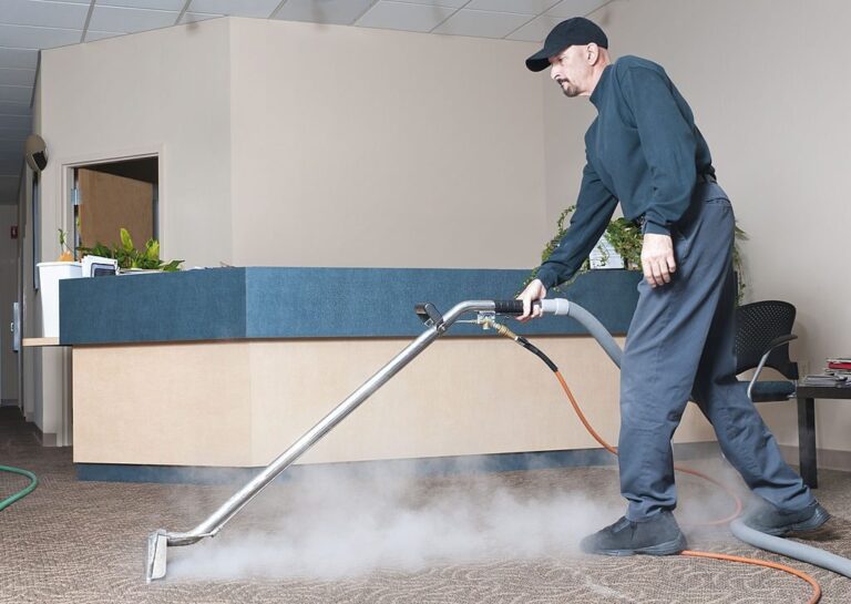 Top Carpet Cleaning Services for a Fresh and Pristine Home