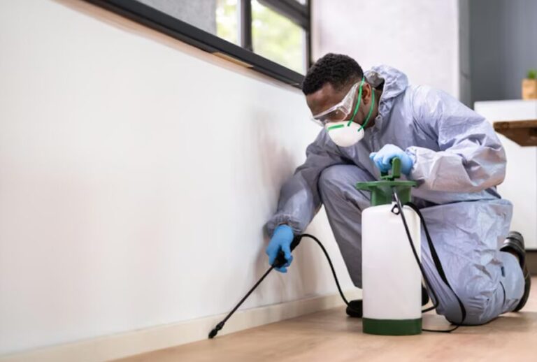 Mr. Mosquito is the best pest control in Houston