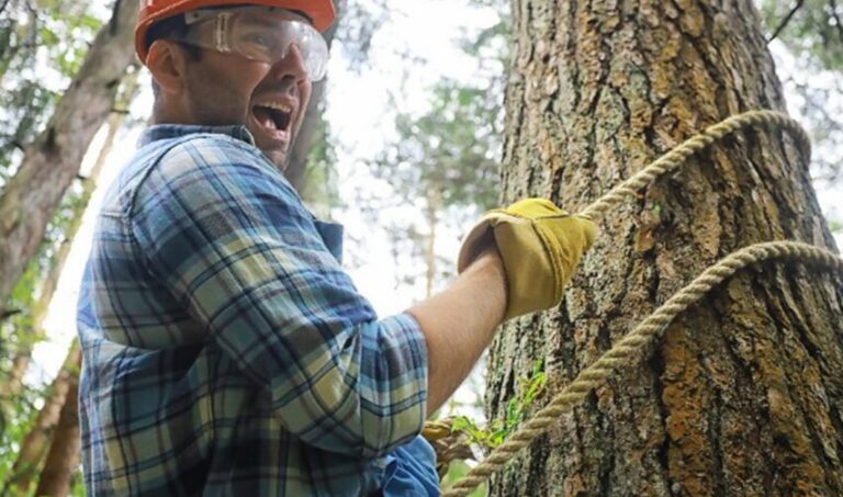 10 Ways to Avoid Tree Service Scams and Protect Your Property