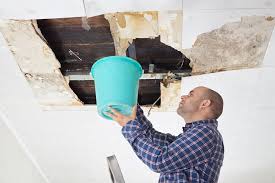 Signs You Need To Call A Water Damage Restoration Company Immediately