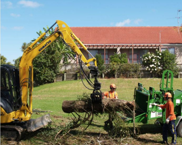 Clearing Land Responsibly in Florida: Environmental Best Practices